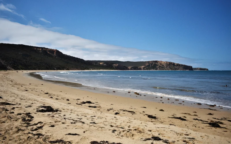 Addiscot Beach