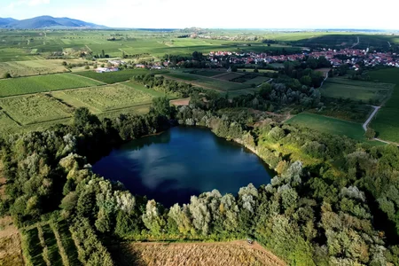 Biotopweiher alte Tongrube