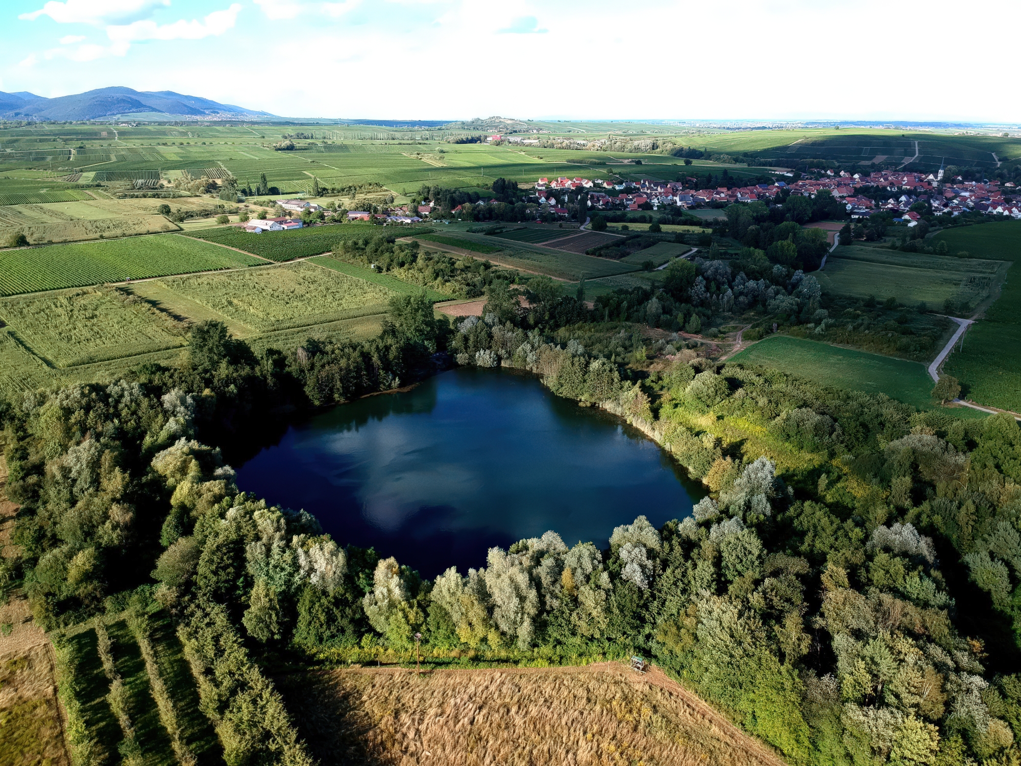 Biotopweiher alte Tongrube