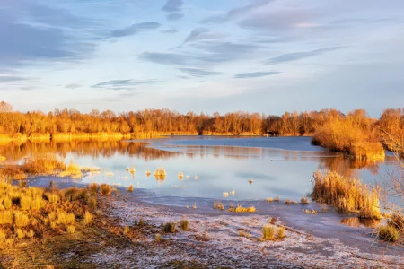 Höglinger Weiher