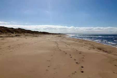 Hökafältet