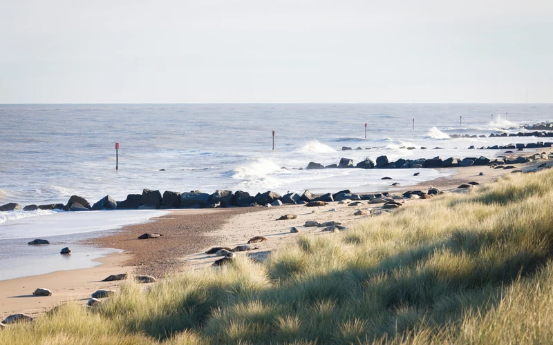 Horsey Beach