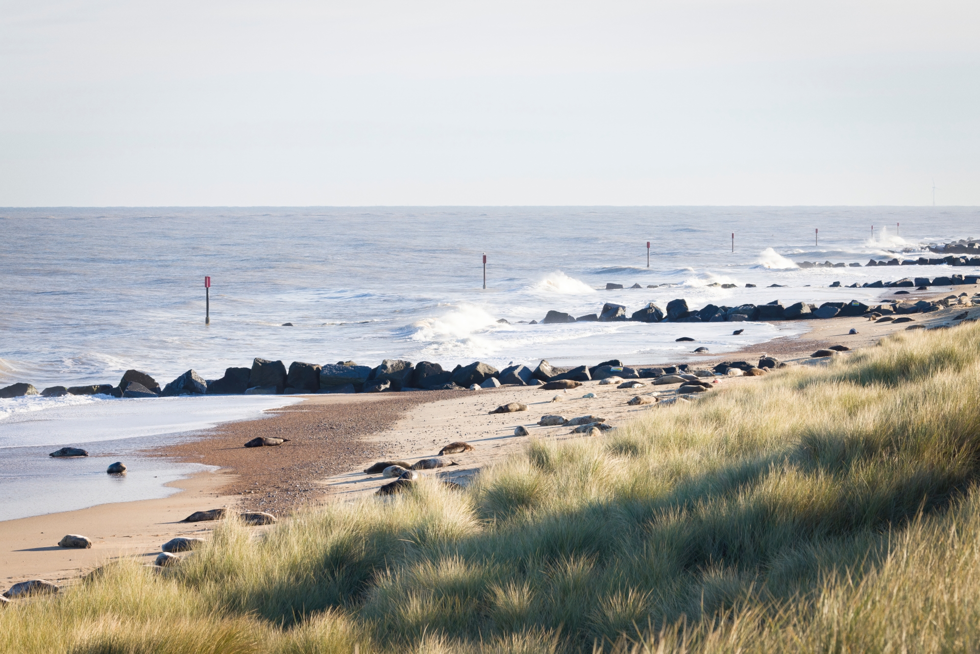 Horsey Beach