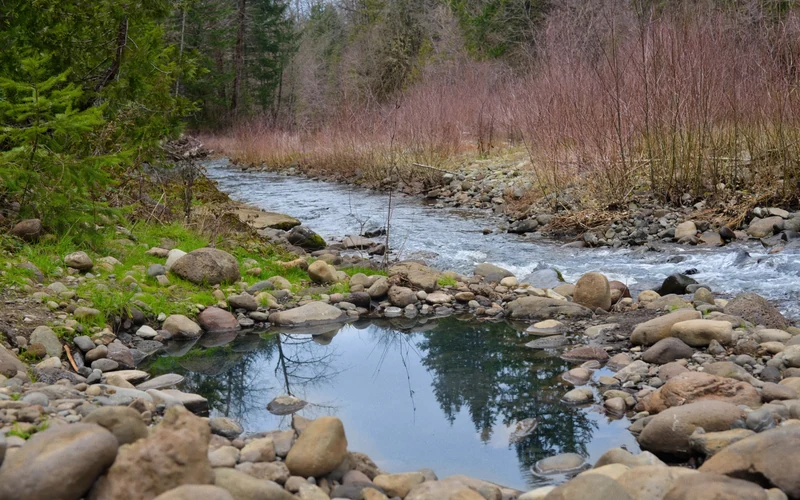 McCredie Springs