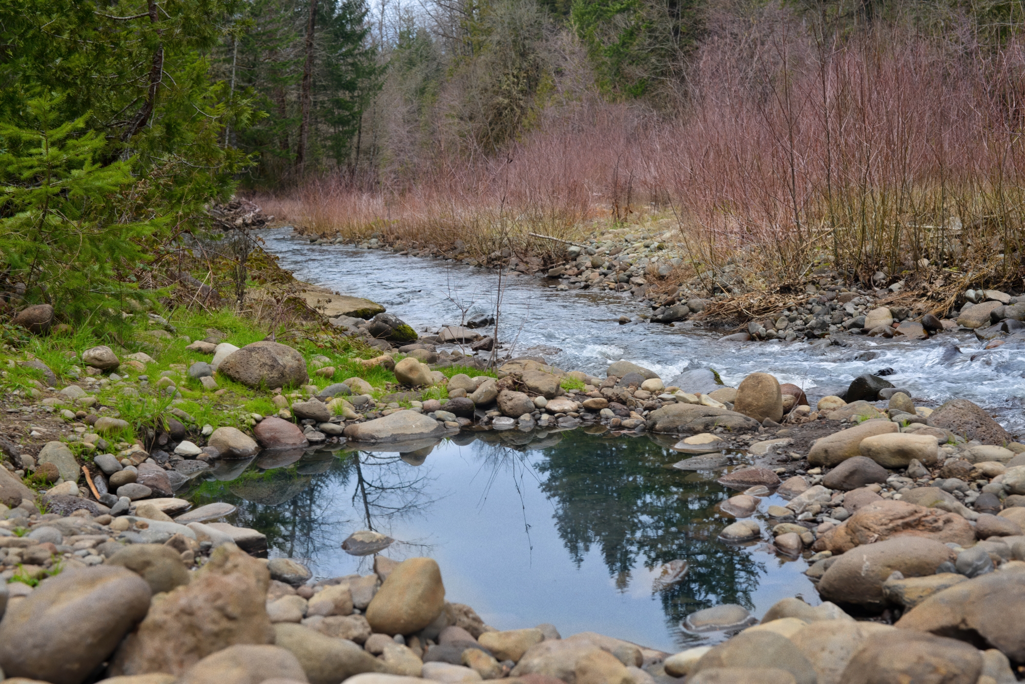 McCredie Springs