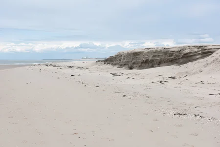 Monster Beach