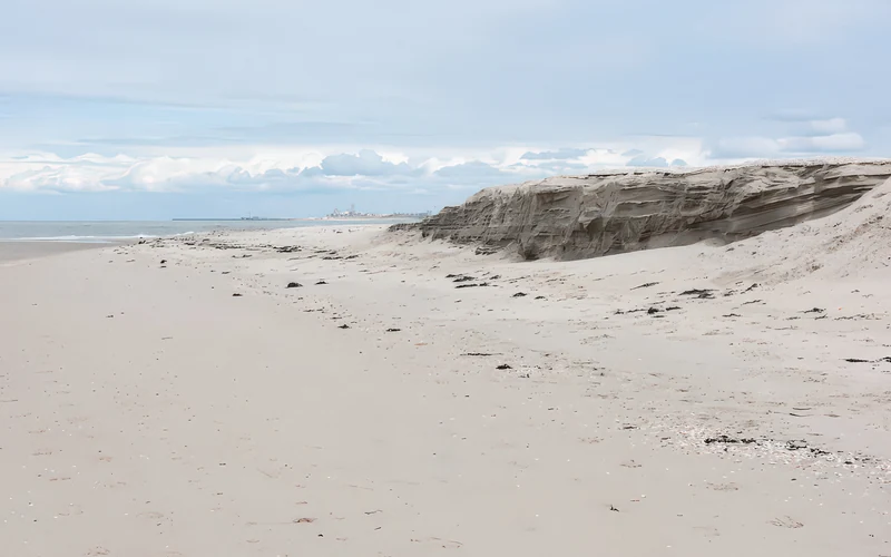 Monster Beach