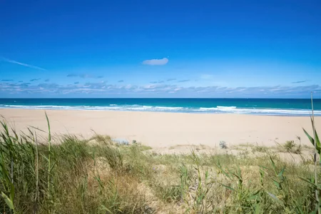 Playa Mangueta