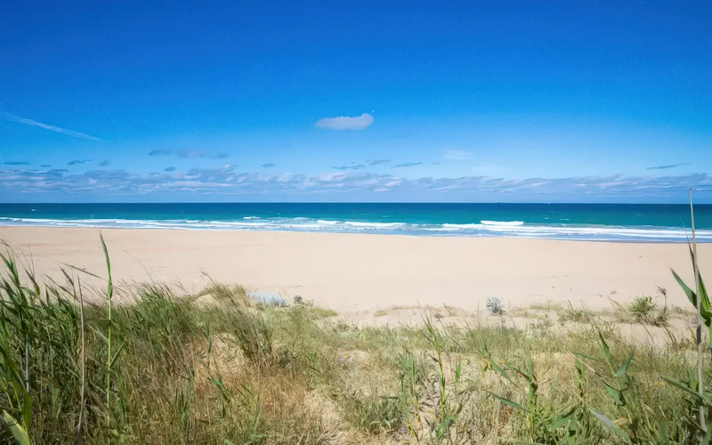 Playa Mangueta