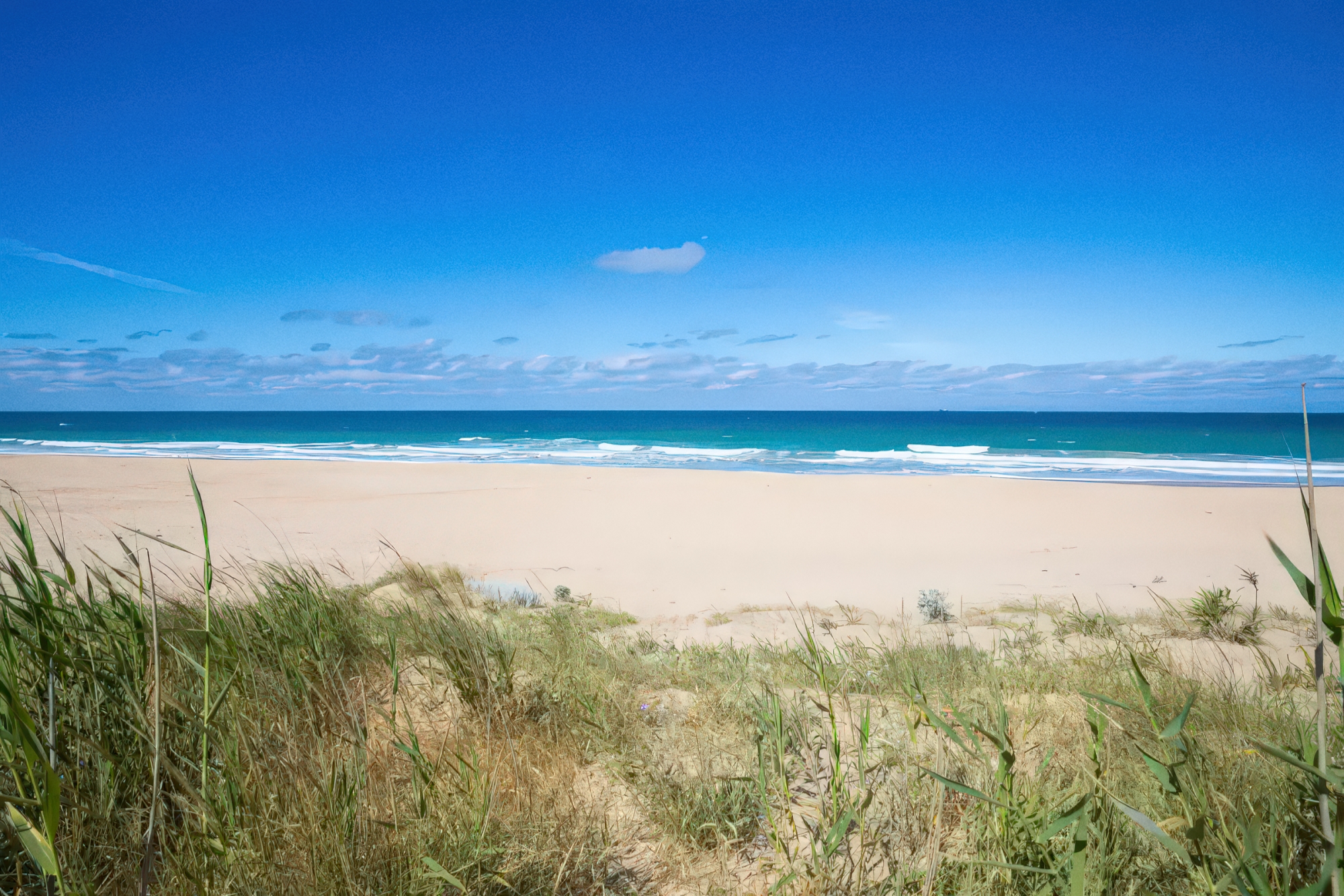 Playa Mangueta