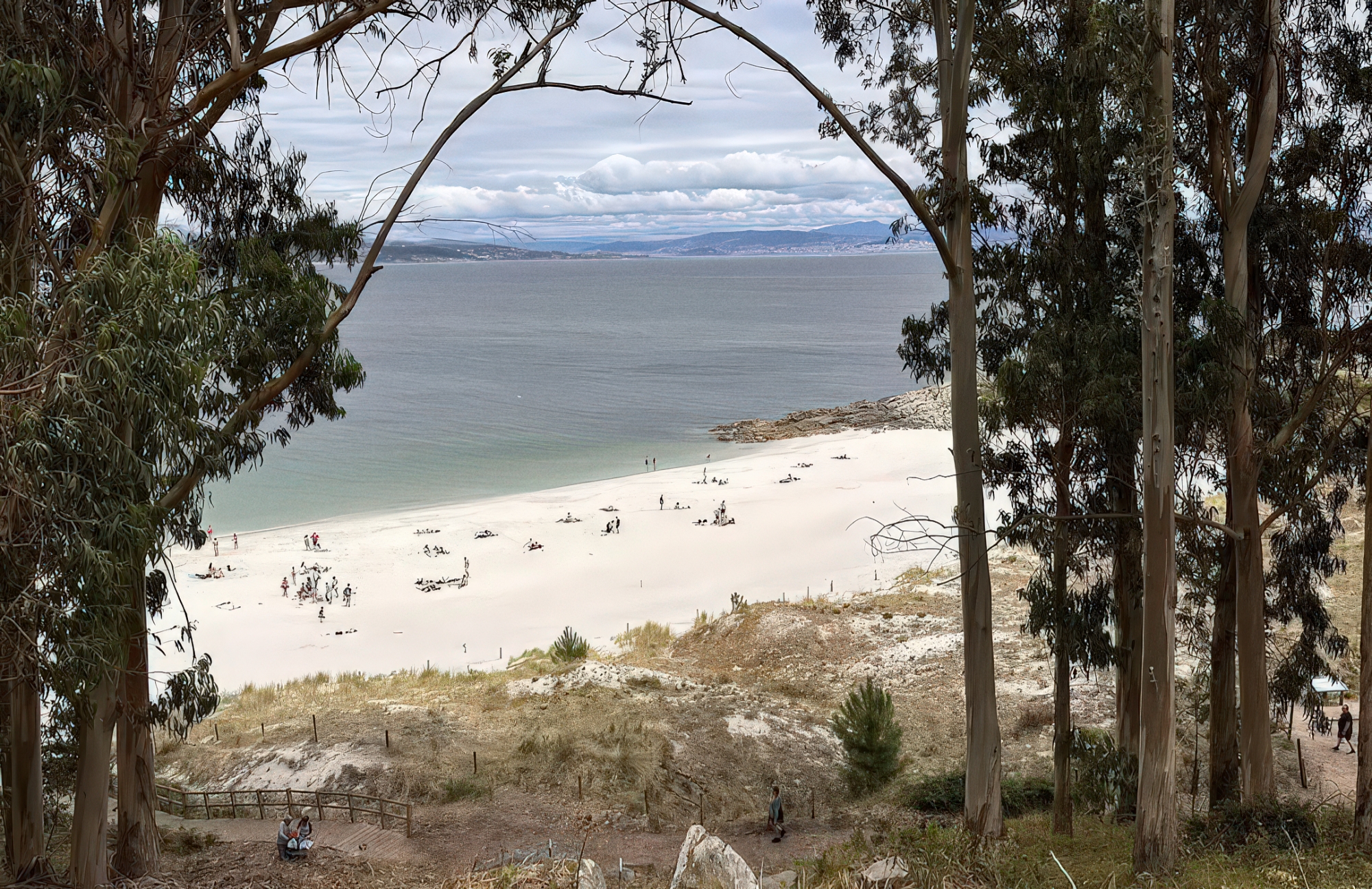 A Area das Figueiras