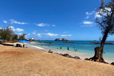 Sand Island Clothing Optional Beach
