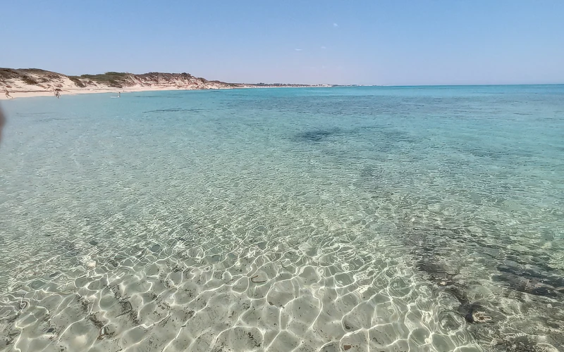 Spiaggia di Torre Guaceto