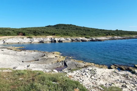 Vela Draga