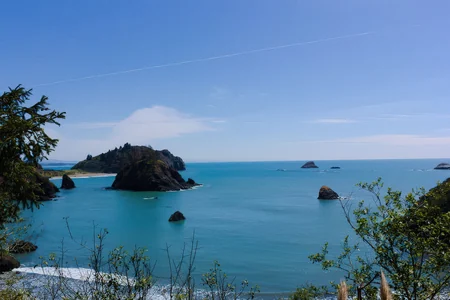 College Cove South