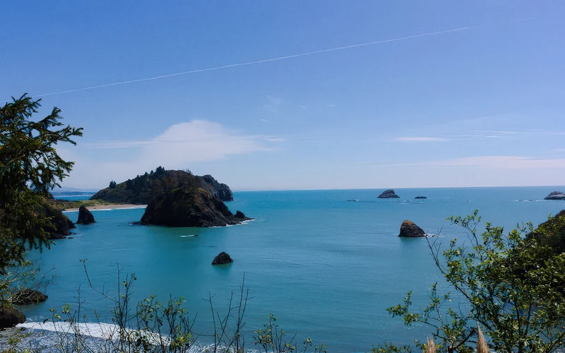 College Cove South