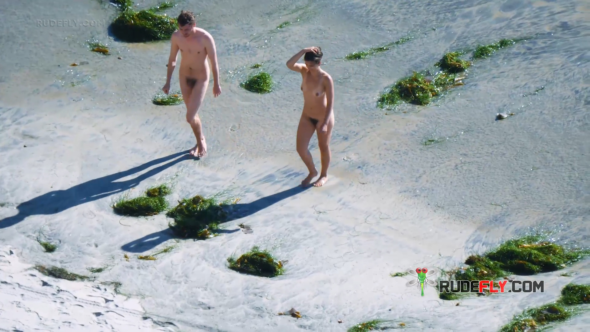 Two Nudists Stepping Across Seaweed-Strewn Shallows