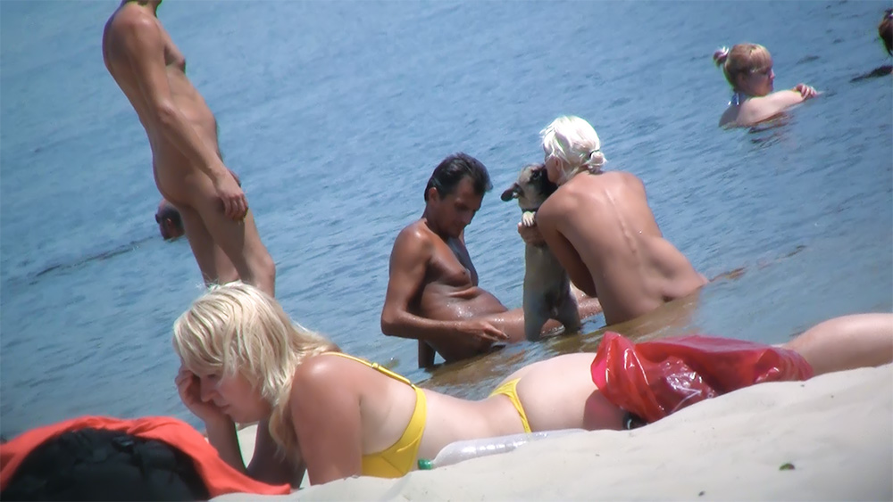 When I went to natal I looked up for beauties on the white sand beachs  I got lots of them. I hope you enjoy them.